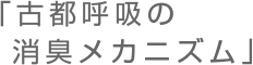 「古都呼吸の消臭メカニズム」